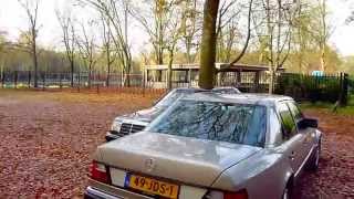 2x Mercedes 500E Autumn check [upl. by Delanty]