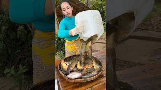 How to cook fish recipe  shorts cooking recipe food shortvideo [upl. by Nosydam]