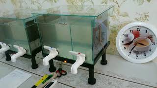 Часть 1Электро  активатор Живая и Мертвая вода living and dead water ionizer water activator [upl. by Missie]