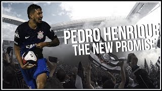 Pedro Henrique ► The New Promise  Defensive Skills  2017 [upl. by Lori]