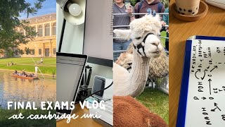 cambridge med exams vlog 📝  studying in libraries alpacas in college [upl. by Grannie68]