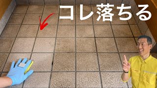 玄関タイルの黒ずみが爆速で落とせる商品がスゴイ [upl. by Curhan170]