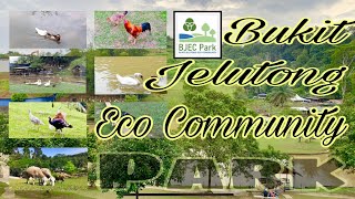 Bukit Jelutong Eco Community Park [upl. by Ennyrb]