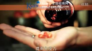 凱康莉Kyani中文商機說明flv [upl. by Irec]