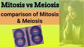 Difference bw Mitosis amp Meiosis  Comparison bw Mitosisi amp Meiosis  Mitosis vs Meiosis  biology [upl. by Nica]