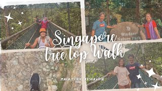 TreeTop Walk  MacRitchie Reservoir  Singapore [upl. by Cave]