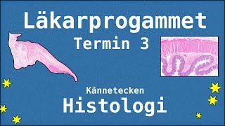 Histologi Termin 3  Kännetecken  Läkarprogrammet Lund [upl. by Nylemaj362]