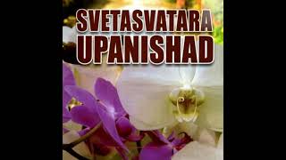 Talk 30 Ch 3 Ma 89 Svetaswatara Upanishad [upl. by Arie]