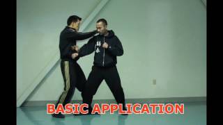 詠春拳 WING CHUN FOOTWORK [upl. by Mikaela549]