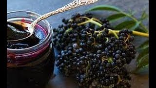 DIY Elderberry Syrup for Cold amp Flu [upl. by Annavoig]