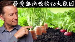 前10名阻礙營養因素自然療法柏格醫生 Dr Berg [upl. by Virgin717]