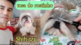 Como tosar o pelo do rostinho [upl. by Peggie]