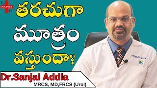 Urine Health Problems Telugu  Urine Infection  Blood in Urine Causes  Health Tips  TD TV [upl. by Watson]