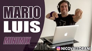 Mario Luis Minimix Nico Vallorani DJ [upl. by Bobker520]