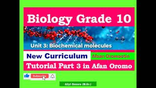 New Curriculum Biology Grade 10 Unit 3 Biochemical Molecules Tutorial Part 3 in Afan Oromo [upl. by Nylirem267]