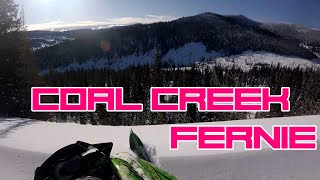 Coal Creek Snowmobiling Fernie BC 2020 [upl. by Ikuy]