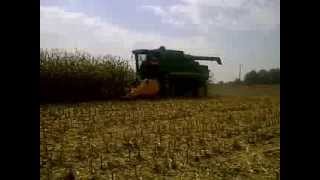 Grecav chopper corn head demo at Woodstock farm show [upl. by Pittel792]