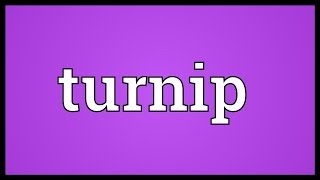 Turnip Meaning [upl. by Ahsirak]