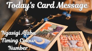 14 Nov24🌼Todays Card Message🌼Ngasigi Afaba Timing Colour Number🌼Manipuri Tarot Card Reading🌼 [upl. by Asp]