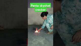 Penta skyshot 100rs box 2024shorts diwali shortsvideo crackers [upl. by Eliseo]