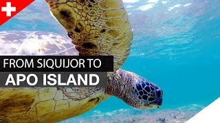 APO ISLAND  Schnorcheln mit Schildkröten 2015  Turtles GoPro [upl. by Marna]