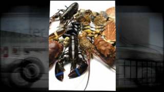 Leverancier schaaldieren Deerlijk  Lobster Fish [upl. by Kieran800]