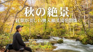 【紅葉狩り】奥入瀬渓流と十和田湖遊覧船で秋を愉しむ旅 [upl. by Mansoor]