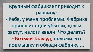 ✡️ Талмуд для Еврея Фабриканта Еврейские Анекдоты Анекдоты про Евреев Выпуск 326 [upl. by Mcleod]