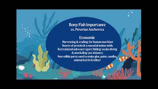 AICE Marine Science Topic 4 Understanding Marine Organisms Bony and Cartilaginous Fish [upl. by Audres]