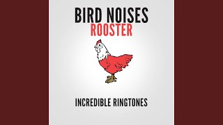 Rooster Sound Effect Ringtone [upl. by Bethina]