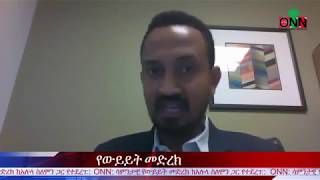 Alula Solomon  discussion with ONN on current political developments in Ethiopia  2018 [upl. by Neztnaj104]