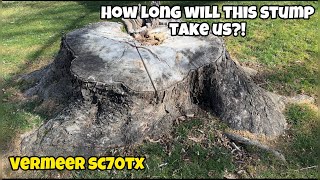 How Long Will This Stump Take Us Stump Grinding with the SC70TX [upl. by Shalom]