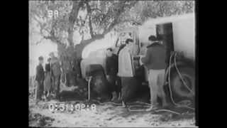 Lucania documentario storico Grottole provincia di Matera 1959 [upl. by Meter]