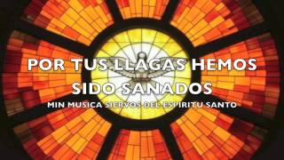 Por tus llagas fui sanado Señor Ministerio de Musica Siervos del Espiritu Santo [upl. by Gladdy]