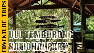 Brunei Ulu Temburong National Park  Day 1 [upl. by Adnolrehs439]