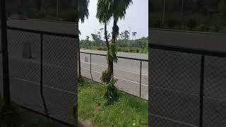 The Bangabandhu bridge toll plaza shortsbridgejamunabridge [upl. by Ludba]