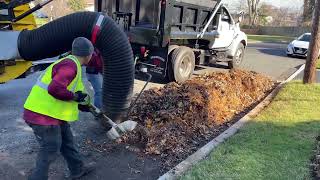 One of the biggest leaf vacuum they make Satisfying suction [upl. by Name]