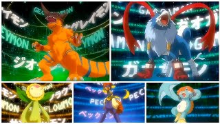 Digimon Data Squad All Champion Evolution Eng 4K UHD [upl. by Emmanuel286]