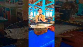 Yellowfin Tuna cutting skills shorts youtubeshorts subscribe [upl. by Eizus]