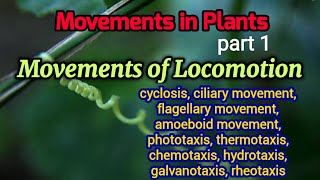 Movements of Locomotion in Plants  Plant Movement  Tactic Movements  Botany  AM Biologie Notes [upl. by Astiram]