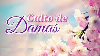 🔴CULTO DE DAMAS EVENTO ESPECIAL [upl. by Yle]