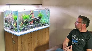 HOW TO set up a planted tank nature aquarium AQUASCAPE [upl. by Farland983]