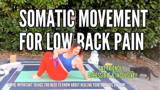 Somatic Low Back Release 1 of 3  Find Freedom From Chronic Pain And you can do it all from bed [upl. by Gilson261]