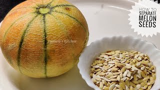 How to separate Melon Muskmelon Seeds  Easy method to peel Muskmelon Seeds [upl. by Outhe]