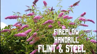 Flintampsteel buddleia bark fire plow amp handdrill wood fibers [upl. by Aymahs636]