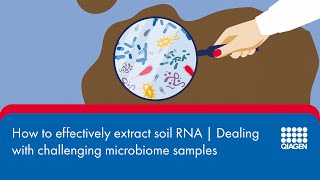 How to effectively extract soil RNA  Dealing with challenging microbiome samples 2 [upl. by Odnavres]