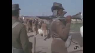 93000 Pakistani troops surrender  Rare footage of 1971 india pak war  Pak Troops Surrender [upl. by Navak]