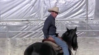 Teaching a horse to steer part 2 [upl. by Edison]