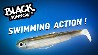 Fiiish  Black Minnow  Swimming Action  Shore edition [upl. by Neibart]