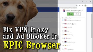 How to activate and restore missing Proxy VPN and Ad Block buttons in toolbar of EPIC Browser [upl. by Yornoc542]